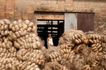 Global Jute Supplier — Eco-Friendly Bags, Sacks, and Sustainable Packaging Worldwide.