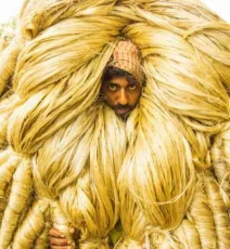 jute-twine-rolls-bangladesh