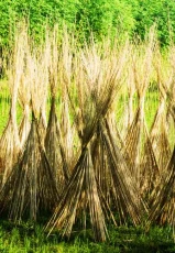 Wholesale Jute Products Supplier — Eco-Friendly Bags, Sacks, and Décor for Retail and Export.