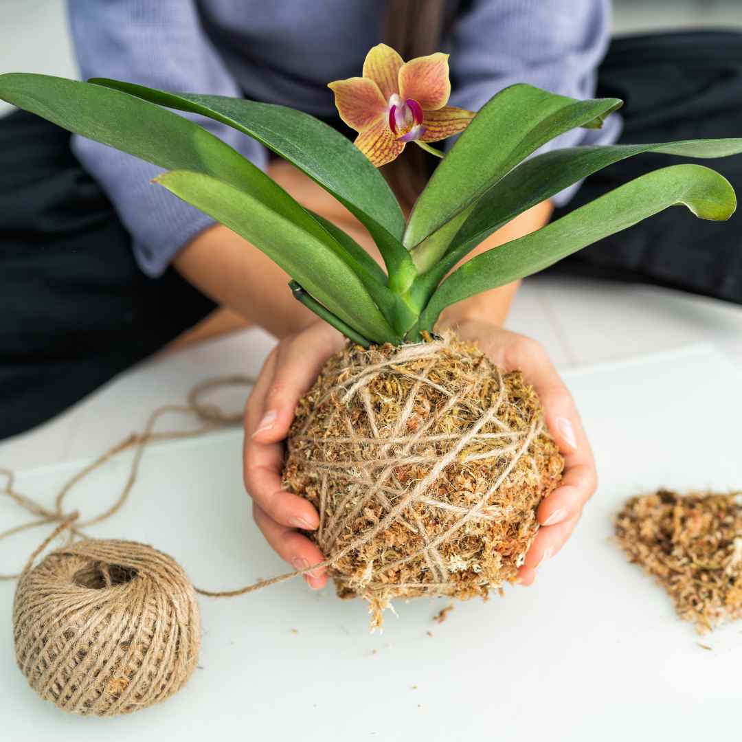 eco jute planter home decor