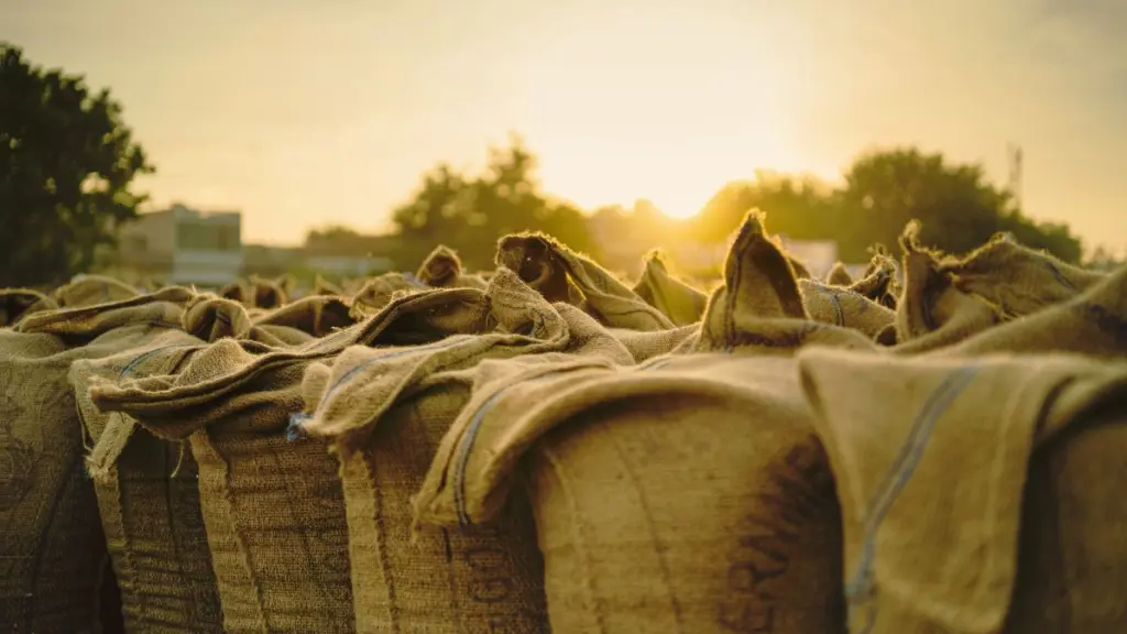 10 innovative uses for jute sacks in business and everyday life — eco-friendly and versatile jute bags for storage, packaging, and creative projects.