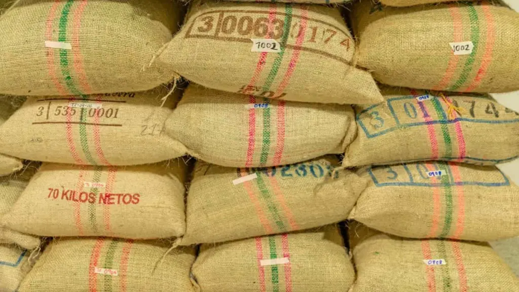 Guide to understanding jute sack grades and specifications essential information for importers and bulk buyers.