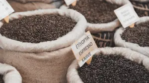Eco-friendly jute sacks used by Latin American coffee exporters for sustainable coffee packaging