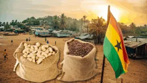 Durable jute sacks used for Ghana’s cashew and cocoa export packaging, providing eco-friendly and moisture-resistant storage.”