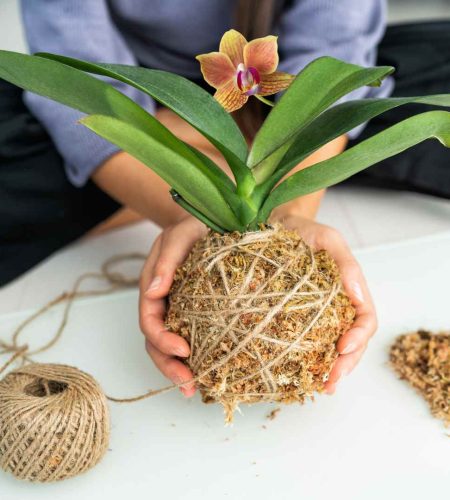 eco jute planter home decor